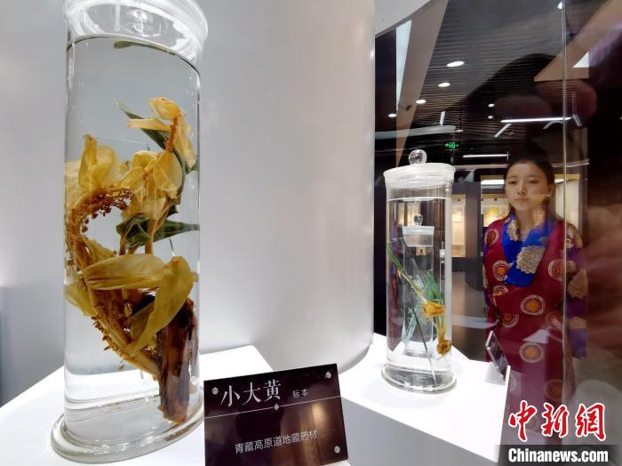 青海中藏醫(yī)藥發(fā)展提速：建設(shè)一批重點(diǎn)?？茖W(xué)科，推廣一批適宜技術(shù)