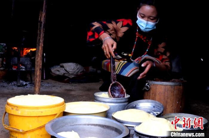 圖為牧民正在制作酥油?！∪湛t文聯(lián)供圖