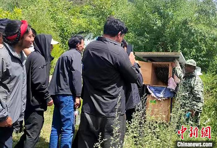 拉久西村村民學(xué)習(xí)養(yǎng)蜂工作流程和防范事項(xiàng)?！〔际忻⒖悼h委宣傳部供圖