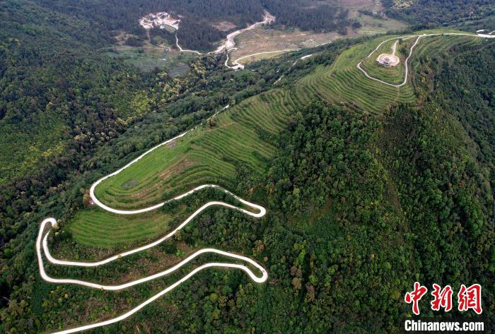 圖為西藏林芝市墨脫縣背崩鄉(xiāng)格林村山頂?shù)木坝^茶園。(無人機(jī)照片) 李林 攝