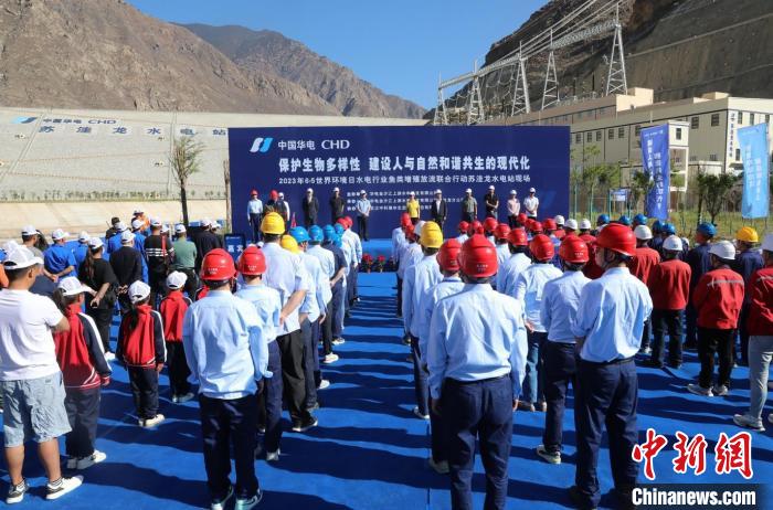 圖為蘇洼龍水電站魚類放流現(xiàn)場?！√K洼龍水電站供圖