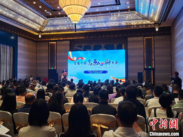 圖為首屆中國高原心胸大會現(xiàn)場?！☆D旦旺姆 攝