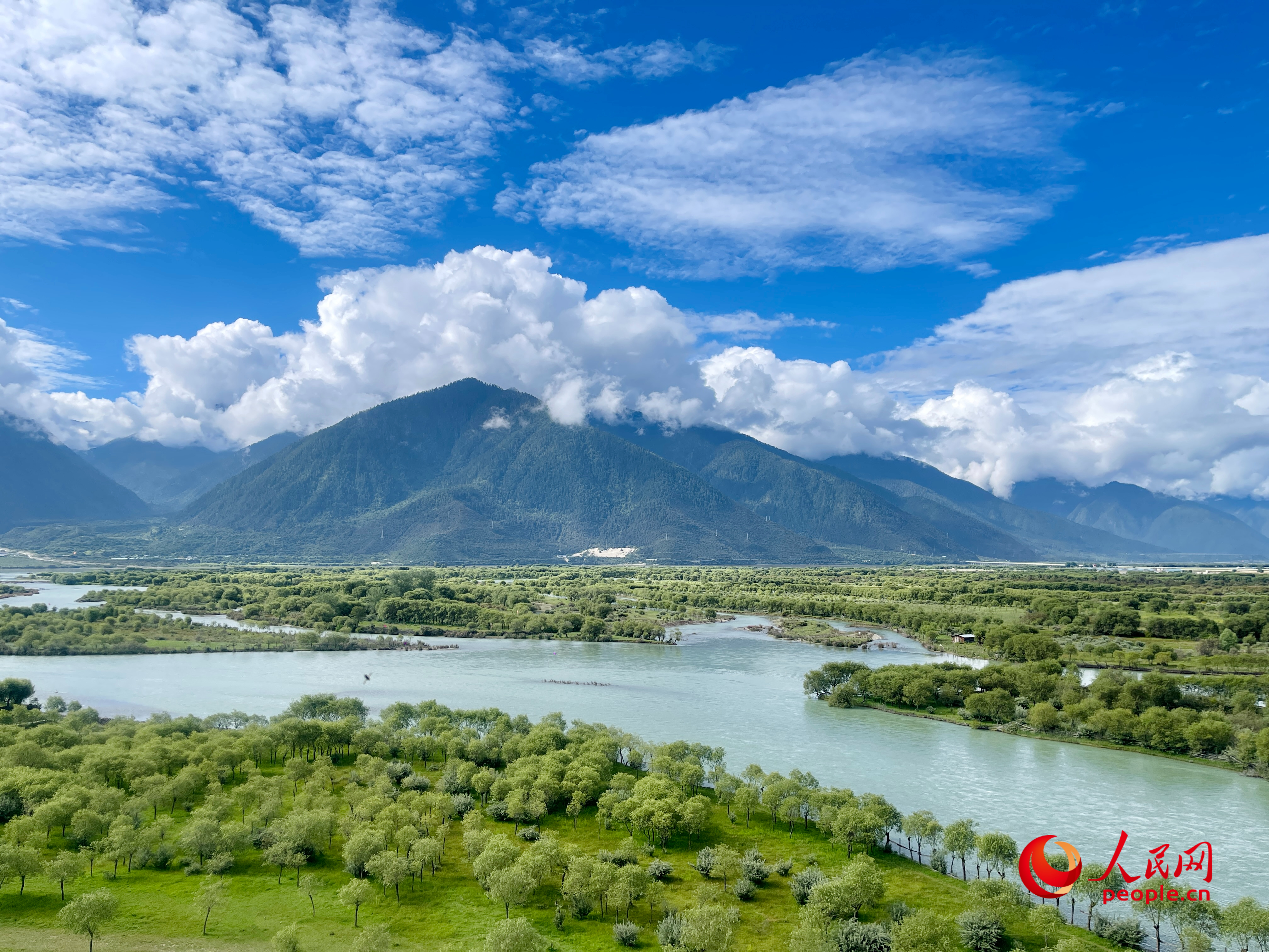 夏日的雅尼國(guó)家濕地公園生機(jī)盎然，如詩(shī)如畫。人民網(wǎng) 周靜圓攝