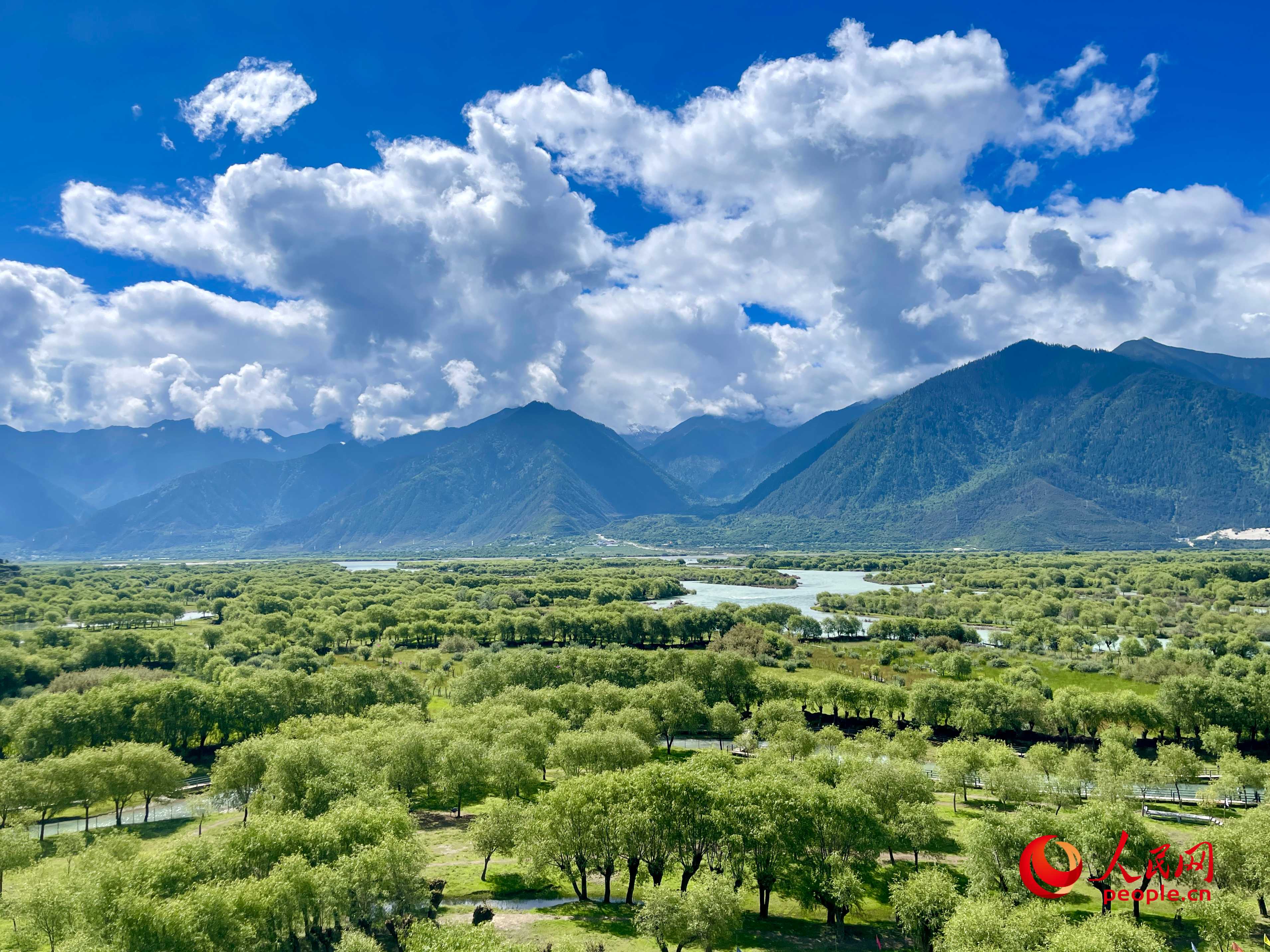 夏日的雅尼國(guó)家濕地公園生機(jī)盎然，如詩(shī)如畫。人民網(wǎng) 周靜圓攝