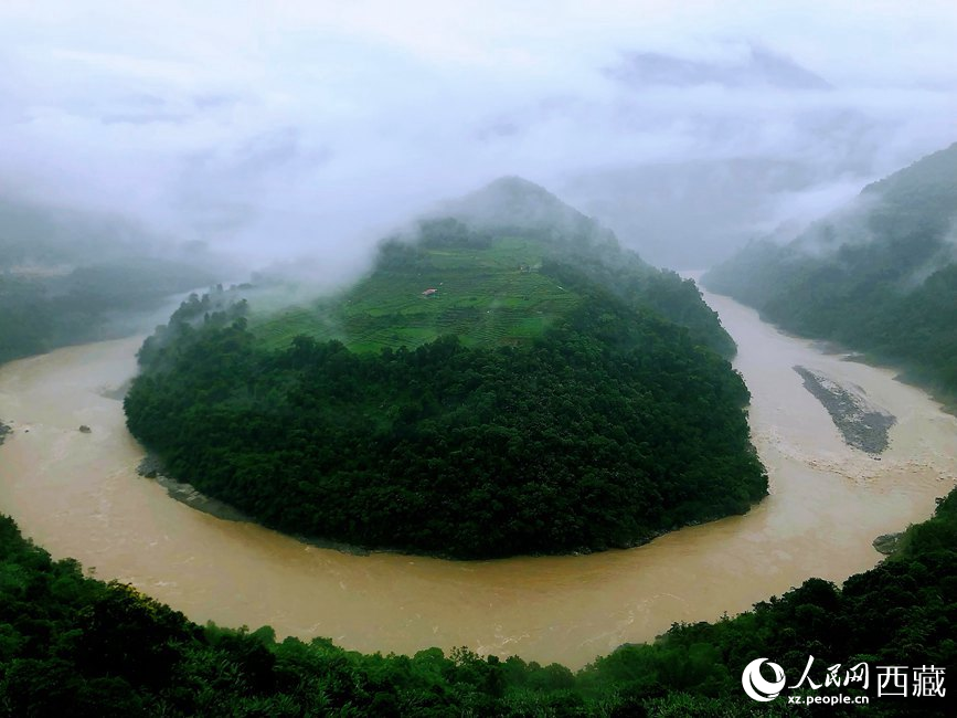 雅魯藏布江大峽谷蛇形拐彎處，山坡上種滿茶樹。