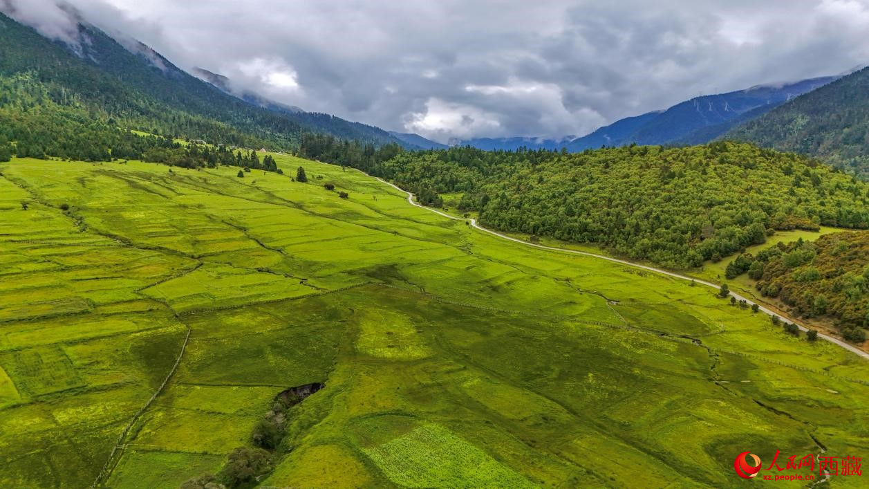 圖為航拍高山牧場(chǎng)鳥瞰圖。人民網(wǎng)記者 次仁羅布攝