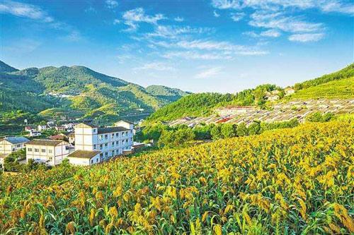 【理上網(wǎng)來o輝煌十九大】鄉(xiāng)村振興戰(zhàn)略：更綜合、全面、系統(tǒng)的發(fā)展戰(zhàn)略