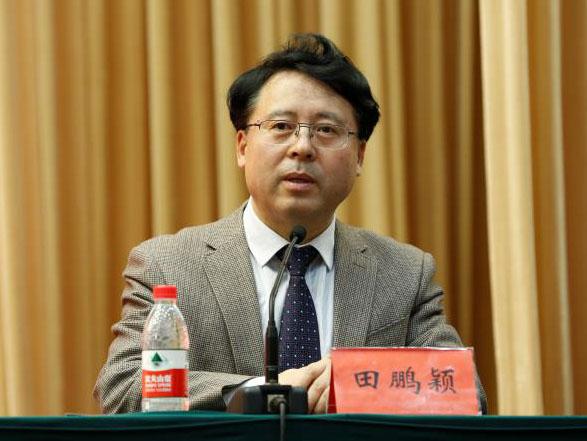 田鵬穎：投入其中、樂(lè)在其中、安身其中