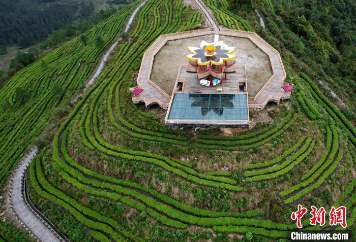 圖為西藏林芝市墨脫縣背崩鄉(xiāng)格林村山頂?shù)木坝^茶園。(無(wú)人機(jī)照片) 李林 攝