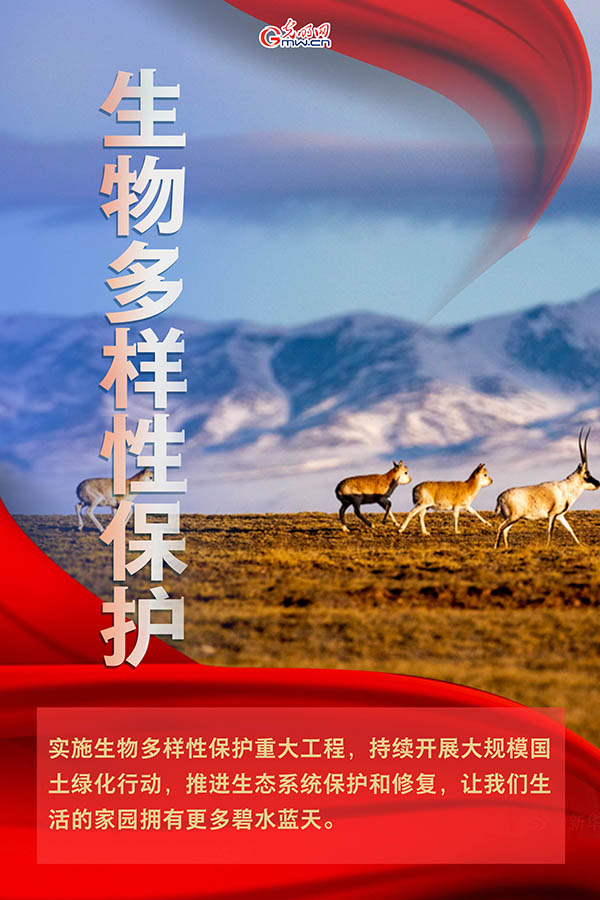 海報(bào)| 2021年政府工作報(bào)告，提到這些生態(tài)環(huán)保關(guān)鍵詞